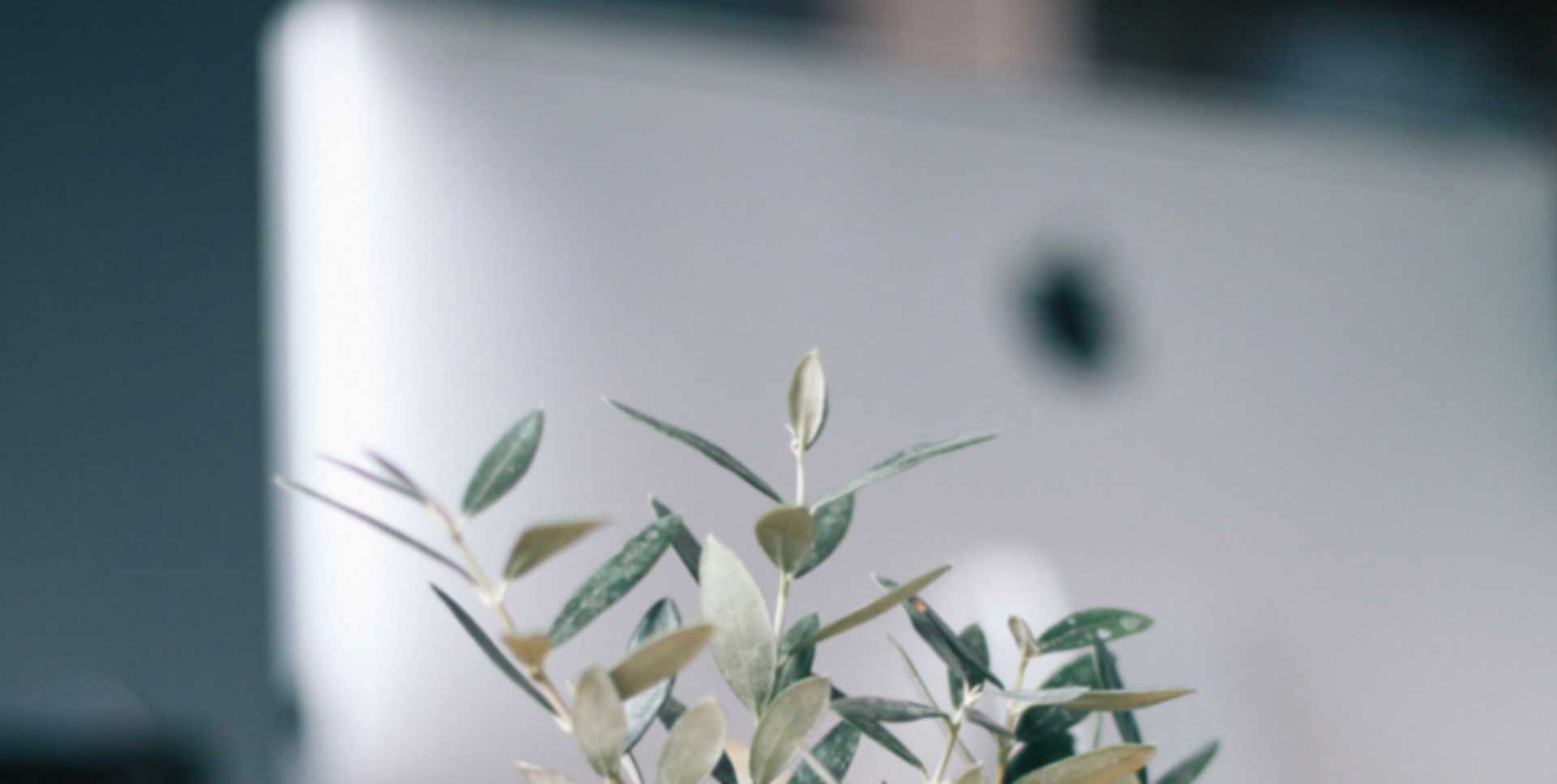 ъпгрейд за Apple Mac